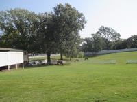 Graceland &ndash; &copy; Sylvia Sann (Eberhardt TRAVEL)