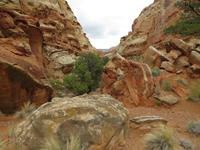 Cohab Canyon &ndash; &copy; Jürgen Schmeißer (Eberhardt TRAVEL)