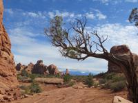 Arches NP &ndash; &copy; Jürgen Schmeißer (Eberhardt TRAVEL)