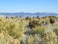Mono Lake &ndash; &copy; Jürgen Schmeißer (Eberhardt TRAVEL)