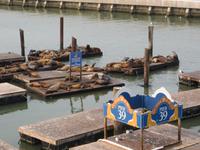 Pier 39 &ndash; &copy; Jürgen Schmeißer (Eberhardt TRAVEL)