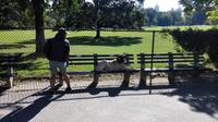 Im Central Park &ndash; &copy; Vanessa van Dam (Eberhardt TRAVEL)