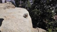 Grand Canyon &ndash; &copy; Vanessa van Dam (Eberhardt TRAVEL)