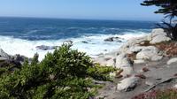 17 Miles Drive  &ndash; &copy; Vanessa van Dam (Eberhardt TRAVEL)