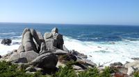 17 Miles Drive  &ndash; &copy; Vanessa van Dam (Eberhardt TRAVEL)