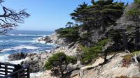 17 Miles Drive  &ndash; &copy; Vanessa van Dam (Eberhardt TRAVEL)