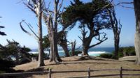17 Miles Drive  &ndash; &copy; Vanessa van Dam (Eberhardt TRAVEL)