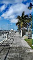 Miami Beach &ndash; &copy; Vanessa van Dam (Eberhardt TRAVEL)
