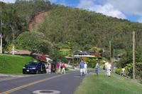 Individuelle Inselrundfahrt Maui mit allen Gästen im Taxi &ndash; &copy; Stefanie Knisse (Eberhardt TRAVEL)