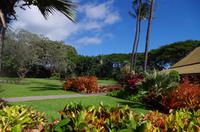 Individuelle Inselrundfahrt Maui mit allen Gästen im Taxi &ndash; &copy; Stefanie Knisse (Eberhardt TRAVEL)