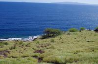 Individuelle Inselrundfahrt Maui mit allen Gästen im Taxi &ndash; &copy; Stefanie Knisse (Eberhardt TRAVEL)