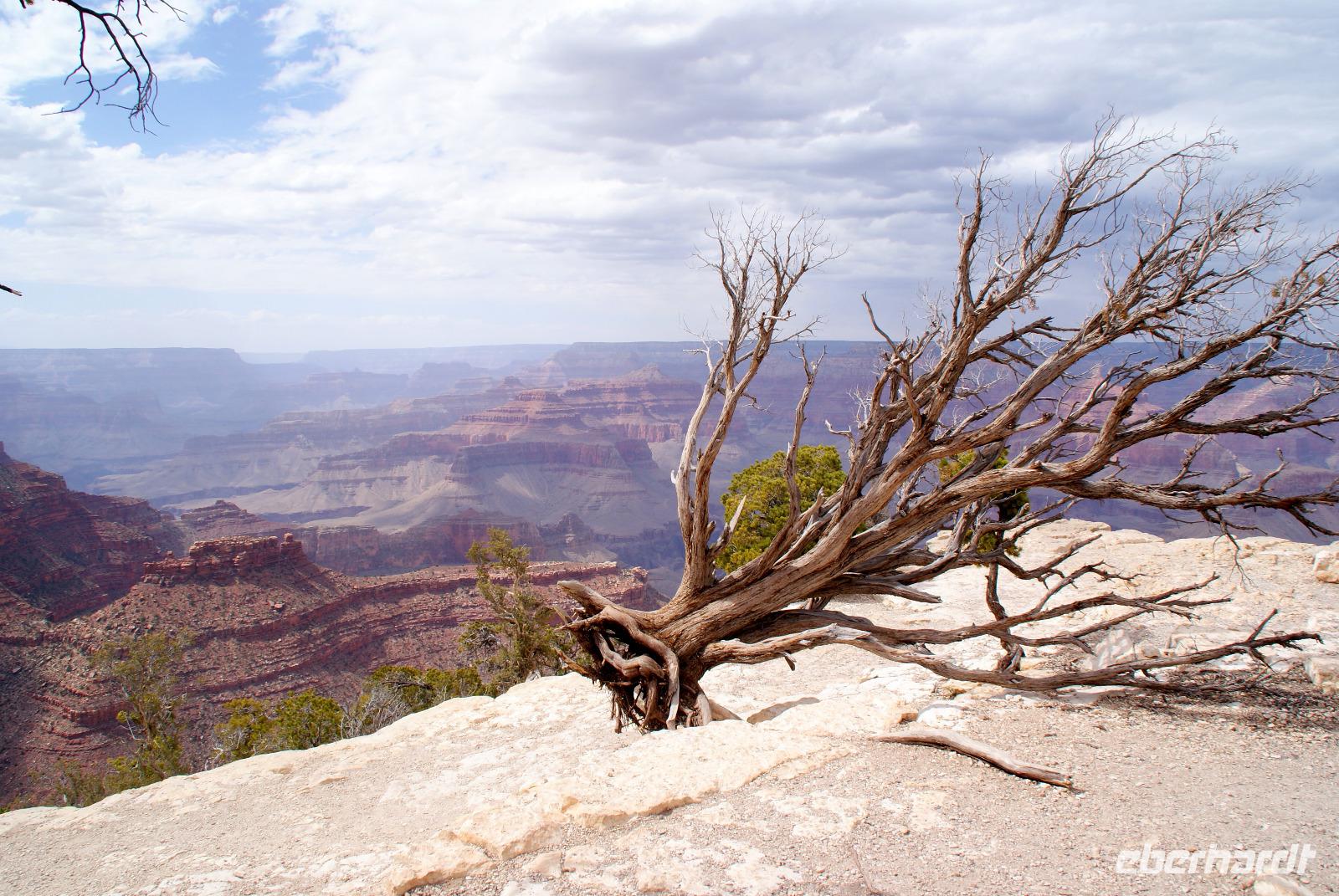 Grand Canyon &ndash; &copy; Susanne Schirmann (Eberhardt TRAVEL)