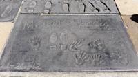 in Hollywood am Man's Chinese Theatre &ndash; &copy; Susanne Schirmann (Eberhardt TRAVEL)
