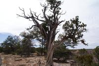 Grand Canyon &ndash; &copy; Susanne Schirmann (Eberhardt TRAVEL)