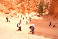 Bryce Canyon &ndash; &copy; Susanne Schirmann (Eberhardt TRAVEL)