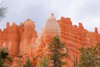 Bryce Canyon &ndash; &copy; Susanne Schirmann (Eberhardt TRAVEL)