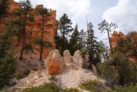 Bryce Canyon &ndash; &copy; Susanne Schirmann (Eberhardt TRAVEL)