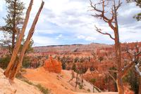 Bryce Canyon &ndash; &copy; Susanne Schirmann (Eberhardt TRAVEL)