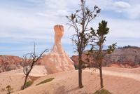 Bryce Canyon &ndash; &copy; Susanne Schirmann (Eberhardt TRAVEL)