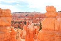 Bryce Canyon &ndash; &copy; Susanne Schirmann (Eberhardt TRAVEL)
