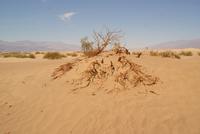 Death Valley &ndash; &copy; Susanne Schirmann (Eberhardt TRAVEL)