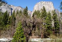 Yosemite National Park &ndash; &copy; Susanne Schirmann (Eberhardt TRAVEL)