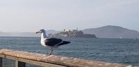 Spaziergang an der Fishermans Wharf in San Francisco &ndash; &copy; Jacob Spangenberg (Eberhardt TRAVEL)