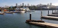 Spaziergang an der Fishermans Wharf/Pier39 in San Francisco &ndash; &copy; Jacob Spangenberg (Eberhardt TRAVEL)