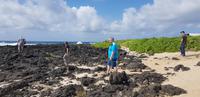 Oahu Rundfahrt - Hanauma Bay  &ndash; &copy; Jacob Spangenberg (Eberhardt TRAVEL)