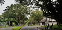 Inselrundfahrt - Big Island  &ndash; &copy; Jacob Spangenberg (Eberhardt TRAVEL)