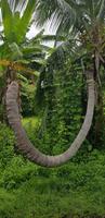 Big Island  &ndash; &copy; Jacob Spangenberg (Eberhardt TRAVEL)