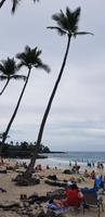 Big Island - Pu'uhonua Honaunau - Zuflucht und Begegnungsstätte &ndash; &copy; Jacob Spangenberg (Eberhardt TRAVEL)