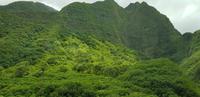 Maui - Inselrundfahrt - Iao Tal &ndash; &copy; Jacob Spangenberg (Eberhardt TRAVEL)