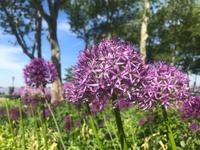 Battery Park &ndash; &copy; Madlena Voigt (Eberhardt TRAVEL)