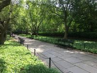 Central Park &ndash; &copy; Madlena Voigt (Eberhardt TRAVEL)