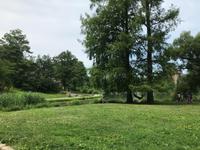 Central Park &ndash; &copy; Madlena Voigt (Eberhardt TRAVEL)