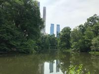 Central Park &ndash; &copy; Madlena Voigt (Eberhardt TRAVEL)