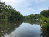 Central Park &ndash; &copy; Madlena Voigt (Eberhardt TRAVEL)