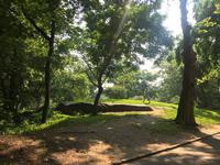 Central Park &ndash; &copy; Madlena Voigt (Eberhardt TRAVEL)