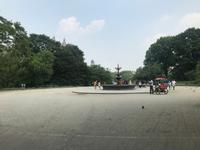 Central Park &ndash; &copy; Madlena Voigt (Eberhardt TRAVEL)
