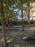 High Line Park &ndash; &copy; Madlena Voigt (Eberhardt TRAVEL)