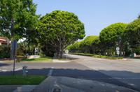 Beverly Hills (4) &ndash; &copy; Thomas Mühlbauer (Eberhardt TRAVEL)