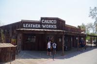 Calico (2) &ndash; &copy; Thomas Mühlbauer (Eberhardt TRAVEL)