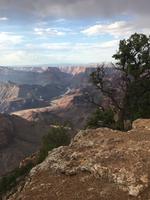 Grand Canyon (4) &ndash; &copy; Thomas Mühlbauer (Eberhardt TRAVEL)