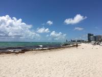 Miami (10) &ndash; &copy; Thomas Mühlbauer (Eberhardt TRAVEL)