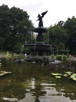 New York Central Park (2) &ndash; &copy; Thomas Mühlbauer (Eberhardt TRAVEL)