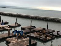 San Francisco (6) &ndash; &copy; Thomas Mühlbauer (Eberhardt TRAVEL)