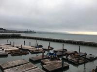 San Francisco (7) &ndash; &copy; Thomas Mühlbauer (Eberhardt TRAVEL)