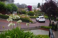 San Francisco Lombard (3) &ndash; &copy; Thomas Mühlbauer (Eberhardt TRAVEL)