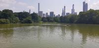 Central Park - New York City